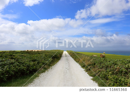 北海道稚內大山白路 51665368