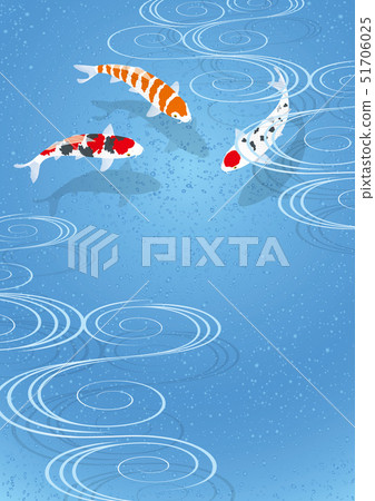 Swimming whale 51706025