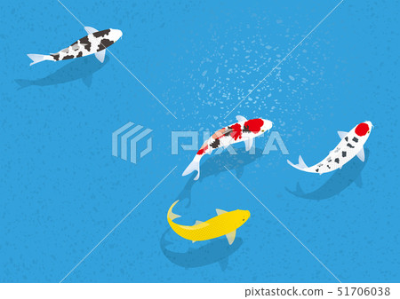 游泳鯨魚 51706038