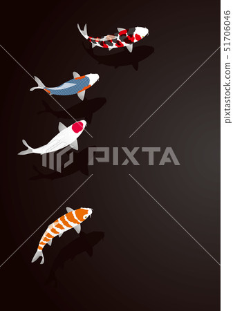 Swimming whale 51706046