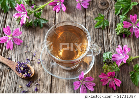 A cup of mallow tea with fresh malva sylvestris 51731387