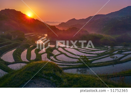 Oyama Senjita 51752365