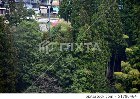 A person who works for zip line 51786464