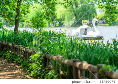 東京春天石垣公園 東京春天石垣公園 51839975