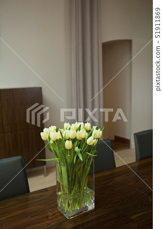 Tulips 51911869