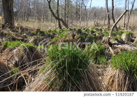 Michito spring of Yachibozu 2 Michito spring of Yachibozu 2 51920187