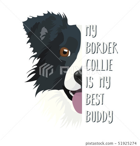 Best Friend Border Collie 51925274