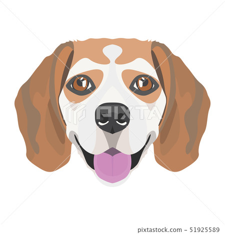 Illustration Beagle Illustration Beagle 51925589