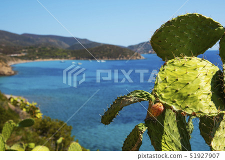 Mari Pintau beach in Sardinia, Italy 51927907