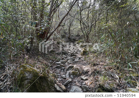 山路到龍門山 51940594