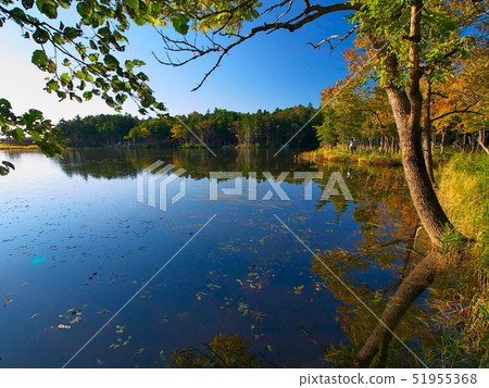 知床五湖在秋末 51955368