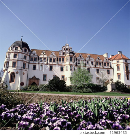 Celle Castle 51963483