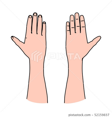 Human palm of hand as line art concept 52159837