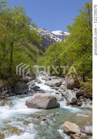 A picture of Shibata River vertical A picture of Shibata River vertical 52238076