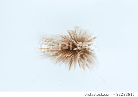 bamboo Toothpick in plastic wrap isolated on white 52258615