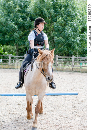 Girl practicing riding on a light brown horse Girl practicing riding on a light brown horse 52260239