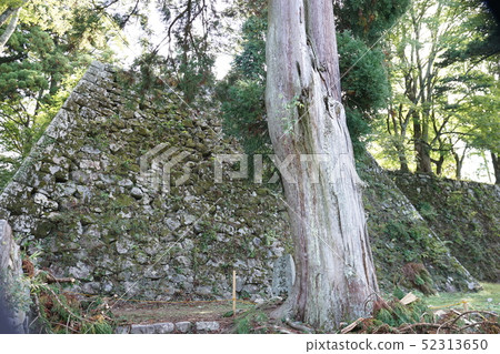 Takatori Castle Nara 52313650