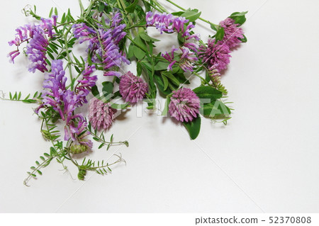 Bouquet of wildflowers 52370808