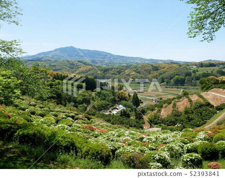 春天Taharasaka公園和Mt. Koba（熊本市Taharasaka歷史博物館） 52393841