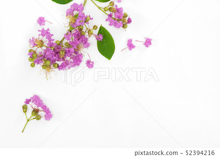 Beautiful purple flower bouquet is blooming put on Beautiful purple flower bouquet is blooming put on 52394216