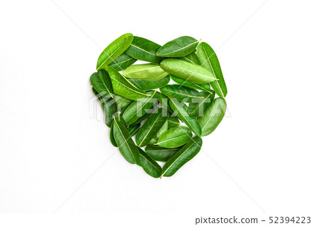 Bengal Currants Leaf on white wood background. 52394223