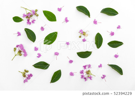 Beautiful purple flower bouquet is blooming put on Beautiful purple flower bouquet is blooming put on 52394229