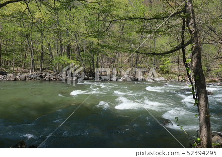 Oirasegawa Oirase山間溪流 52394295