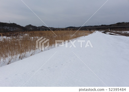 雪路 雪路 52395484