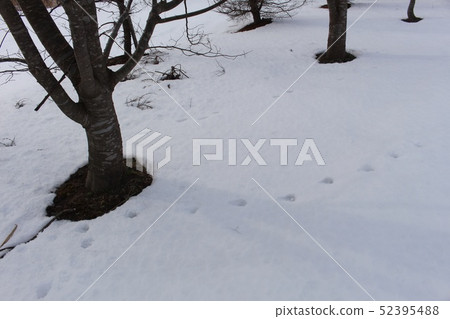 雪蓋 雪蓋 52395488