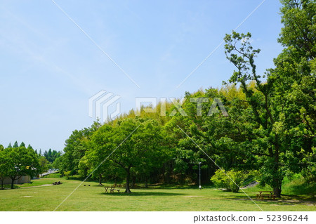 Dragonfly Park Osaka prefecture 52396244