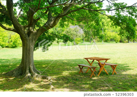 蜻蜓公園大阪府 蜻蜓公園大阪府 52396303