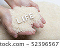 woman's hands holding jasmine rice 52396567