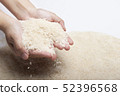 Two woman's hands holding jasmine rice 52396568