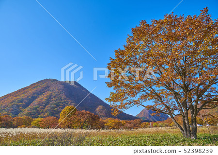 秋天在群馬縣榛名湖的榛名湖旋律線（縣道33號）附近看Haruna Fuji和Mt. Hahatagatake 52398239
