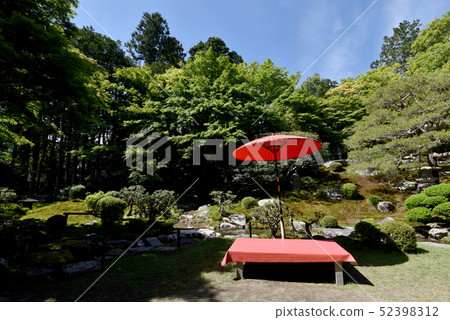 老竹樹叢庭院 老竹樹叢庭院 52398312
