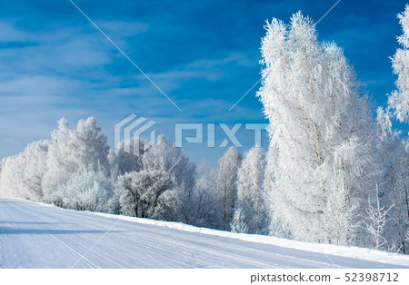 snowy winter in Siberia snowy winter in Siberia 52398712