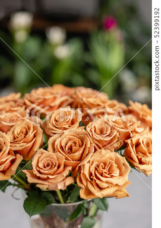 Caramel color, tofi roses in a glass vase. Beautiful rose flower for catalog or online store. Floral Caramel color, tofi roses in a glass vase. Beautiful rose flower for catalog or online store. Floral 52399192