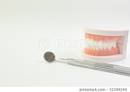 Tooth model on white background dental content Tooth model on white background dental content 52399249