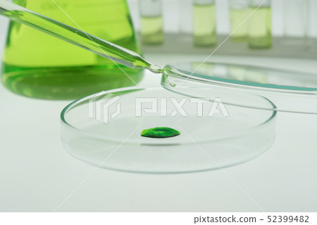 Pipettes take samples into the petri dish. 52399482