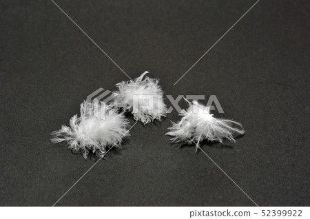 Quesaran Passeran Quesaran Passeran 52399922