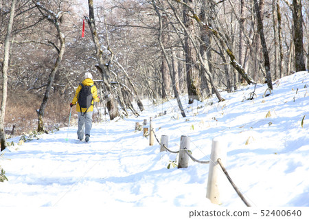 Woman enjoying winter leisure 52400640