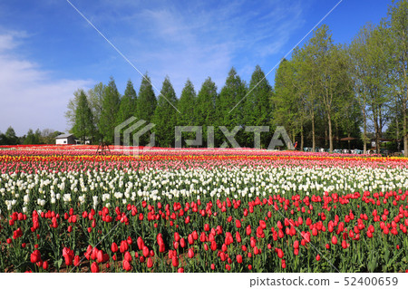 Computer 8760 52400659