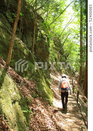 從奧多摩老路上的奧多摩湖步行（非常狹窄的道路需要注意）：5月初 52400865