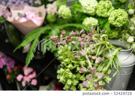 Close-up flowers of Fritillaria. Flower shop concept. Refrigerator showcases. Abstract background of Close-up flowers of Fritillaria. Flower shop concept. Refrigerator showcases. Abstract background of 52429728