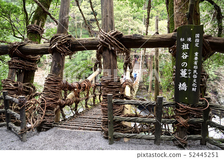 日本的Sankoji橋Iya no Kazura Bridge 52445251