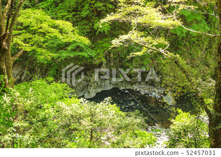 在新鮮的綠色季節（5月）東京奧多摩的Yudaku山谷（多摩河） 52457031