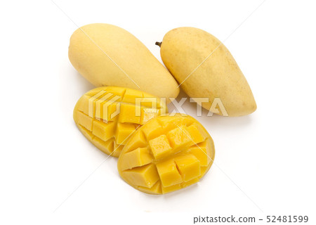 mango mango 52481599