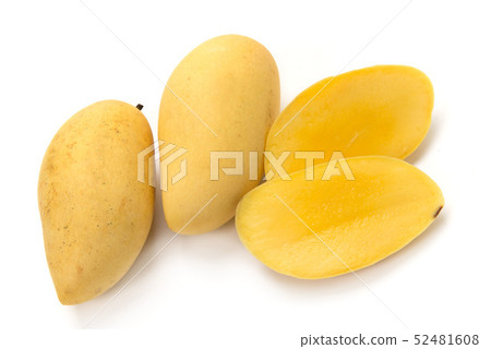 mango mango 52481608