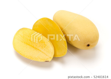 mango mango 52481614