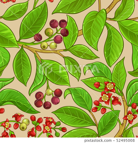 sandalwood vector pattern 52495008